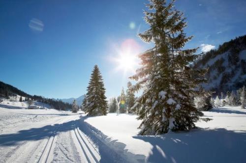 Alpengasthof Almrose Im Heutal ウンケン エクステリア 写真